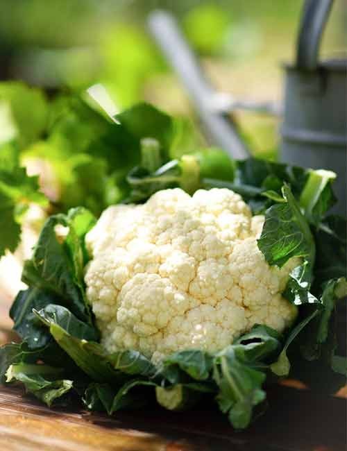 Cauliflower-1PER PIECE Net Bag