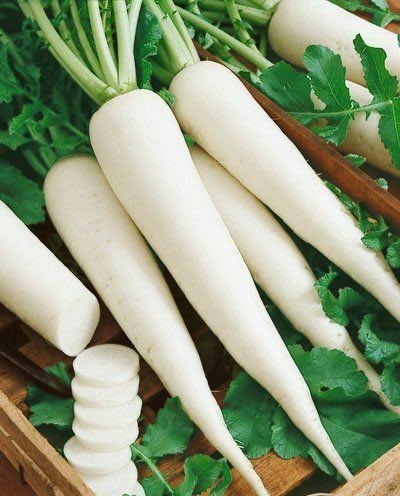 Radish - White-500G Net Bag